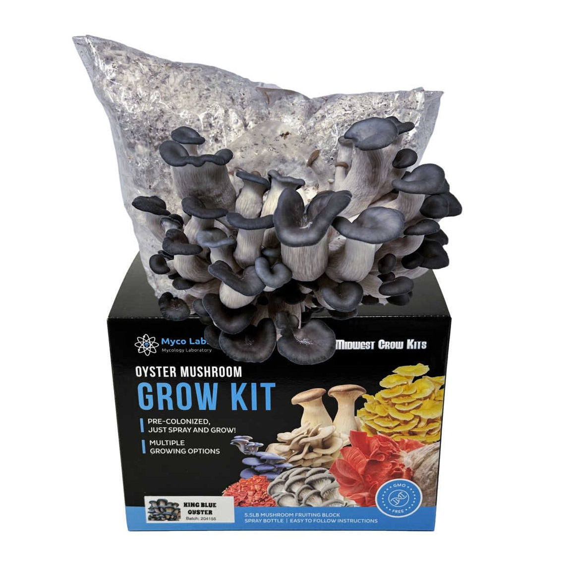 Midwest Grow Kits King Blue Oyster Mushroom Grow Kit (5lbs)