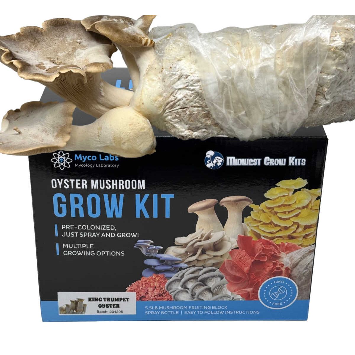 Midwest Grow Kits King Trumpet Oyster Mushroom Grow Kit. Black box displays varieties, 5.5lb pre-colonized fruiting block, fresh mushrooms.