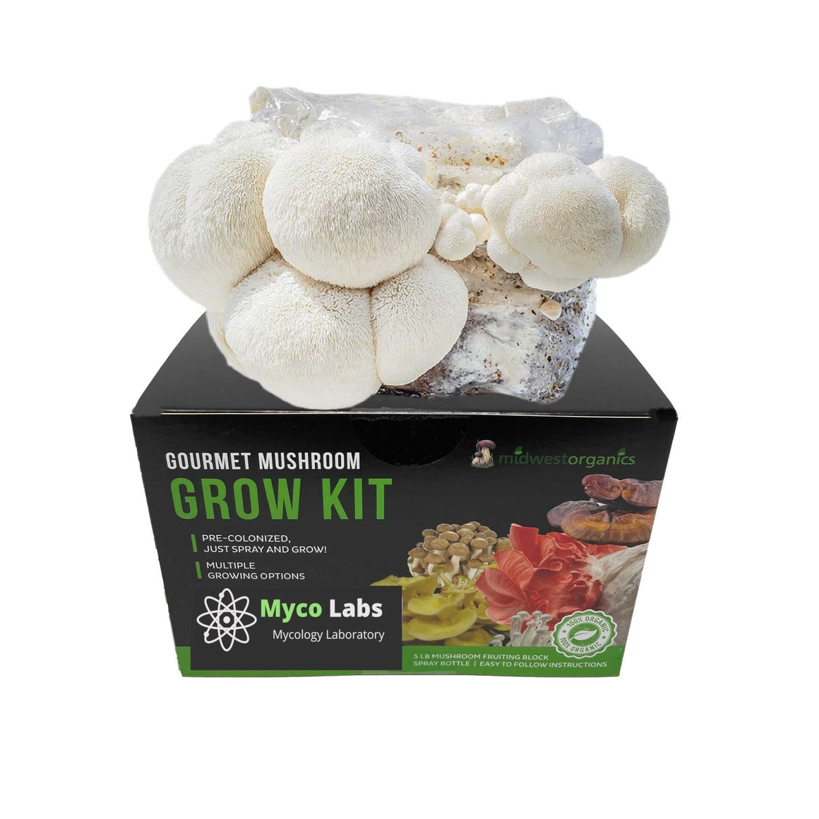 Midwest Grow Kits Lion's Mane Mushroom Grow Kit (5lbs)