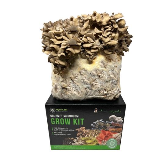 Midwest Grow Kits Maitake (Hen of the Woods) Mushroom Grow Kit (5lbs)