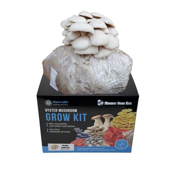 Midwest Grow Kits Pearl White Oyster Mushroom Grow Kit box with a fruiting block bursting with small white oyster mushrooms.