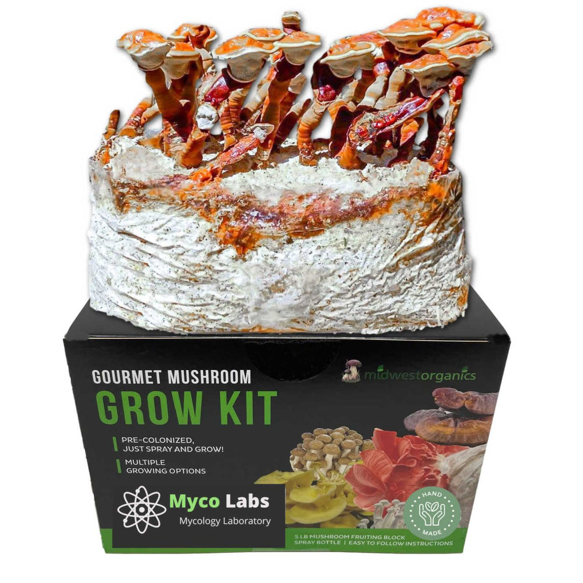 Midwest Organics Red Reishi mushroom grow kit with red-capped gourmet mushrooms actively growing from fruiting block.