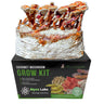 Midwest Grow Kits Red Reishi Mushroom Grow Kit (5lbs)