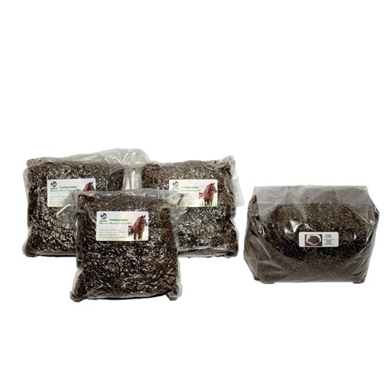 Refill kit with multiple clear bags of dark, granular mushroom substrate. Labels show horses and 'Premium Grains'.