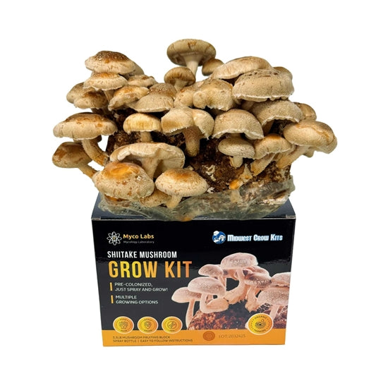 Midwest Grow Kits Shiitake Mushroom Grow Kit (5lbs)
