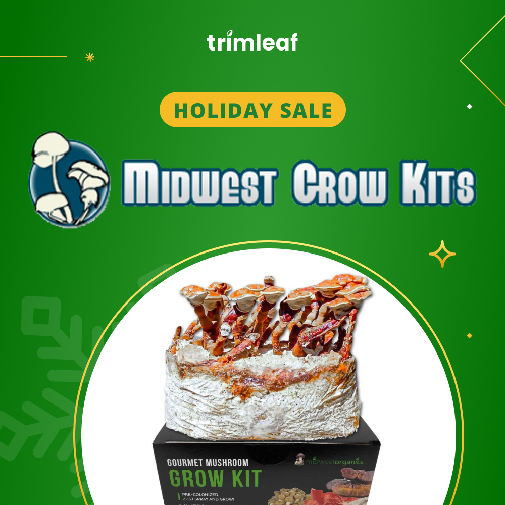 Midwest Grow Kits holiday sale: Gourmet mushroom grow kit featuring fresh mushrooms, logo, and festive green background.