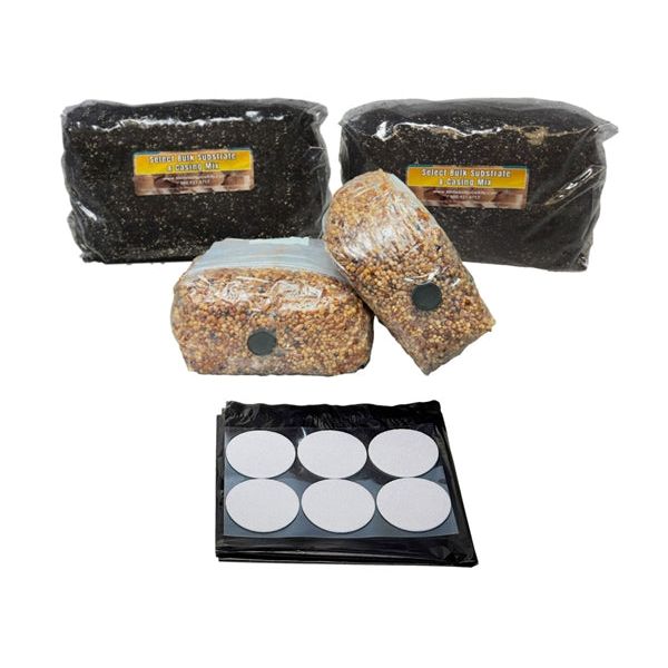 Mushroom growing kit: 2 bulk substrate & casing mix bags, 2 grain spawn bags, and 6 white filter patches.