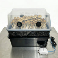 Clear plastic mushroom growing tent with mushrooms, thermometer, and air pump.