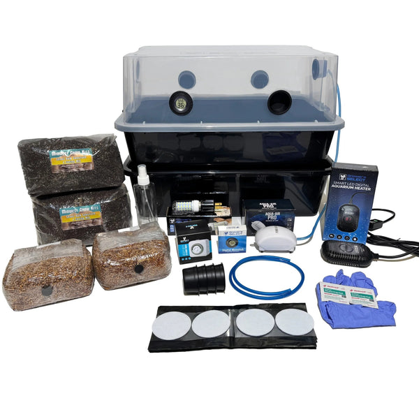 Mushroom growing kit with clear-lidded tub, substrate bags, humidifier, air pump, heater, timer, and gloves.