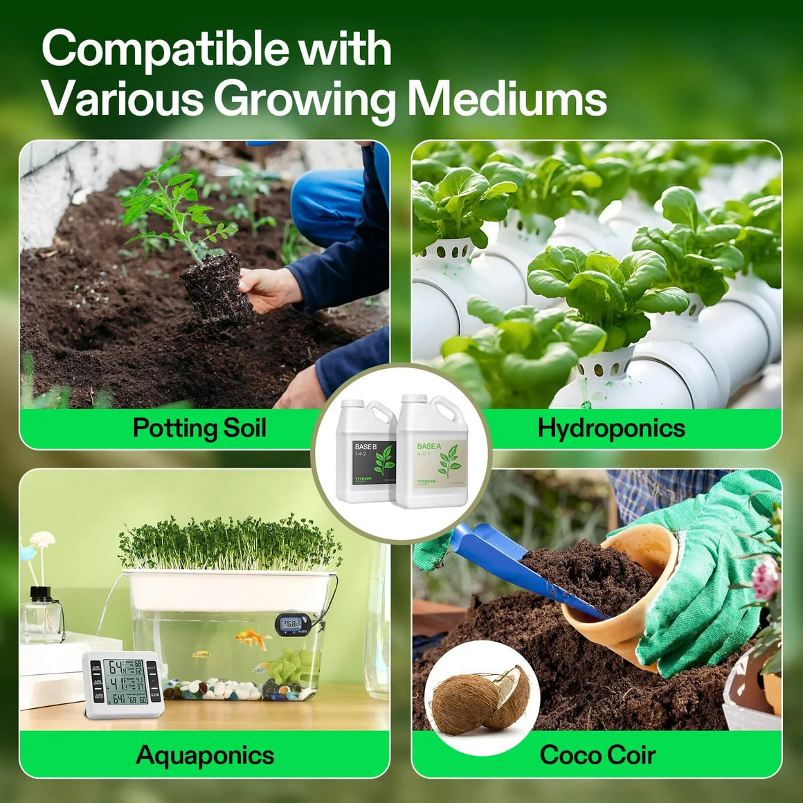 Four growing mediums: potting soil, hydroponics, aquaponics, and coco coir, featuring plants and supplies.