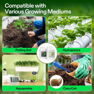 Four growing mediums: potting soil, hydroponics, aquaponics, and coco coir, featuring plants and supplies.