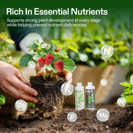 Strawberry plant in hands, with nutrient bubbles (N, P, K, Ca, Mg) and bottles of Base A and Base B.
