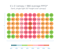 Diagram showing PPFD readings in circles, representing a 5'x3' canopy under a grow light.