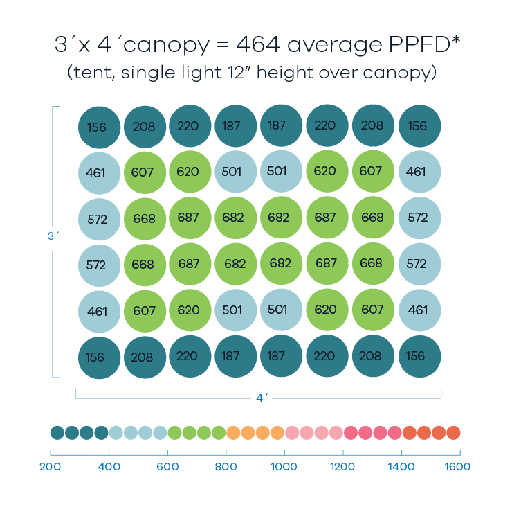 A grid of colored circles with numbers represents PPFD readings from a grow light in a 3'x4' canopy.