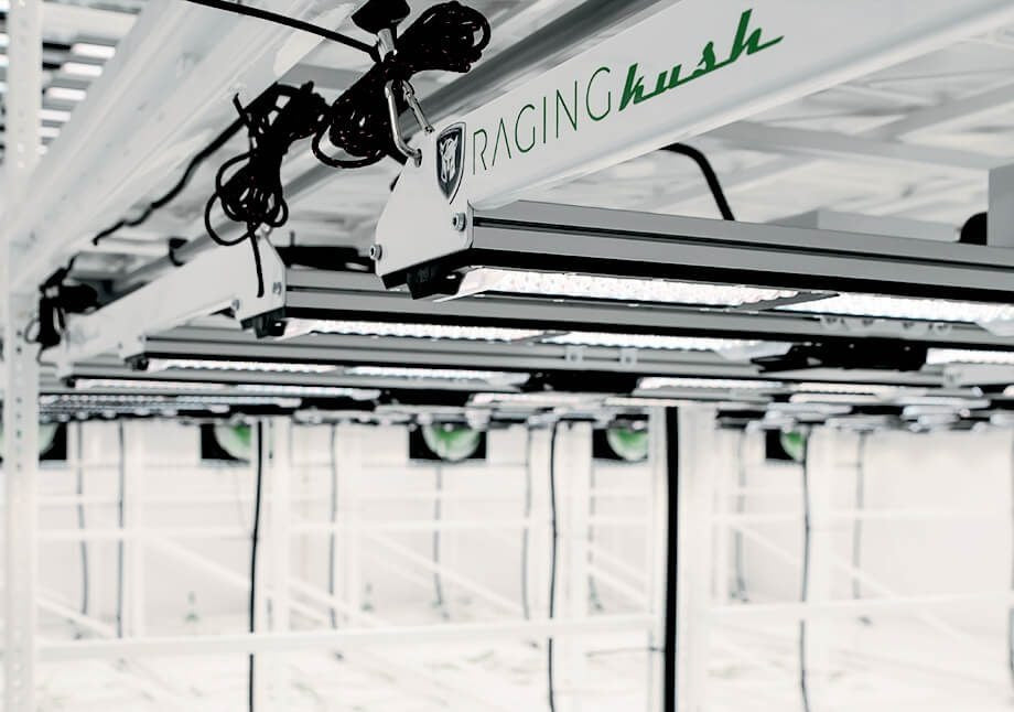 Close-up of Raging Kush grow lights in a vertical farm, showing LED panels and branding.