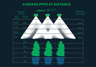 An infographic showing PPFD readings for a Scynce LED Dragon Alpha-3 light at various distances.