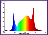 LED spectrum chart with blue peak at 458nm, green/yellow/orange peak around 565nm, and red peak at 673nm.
