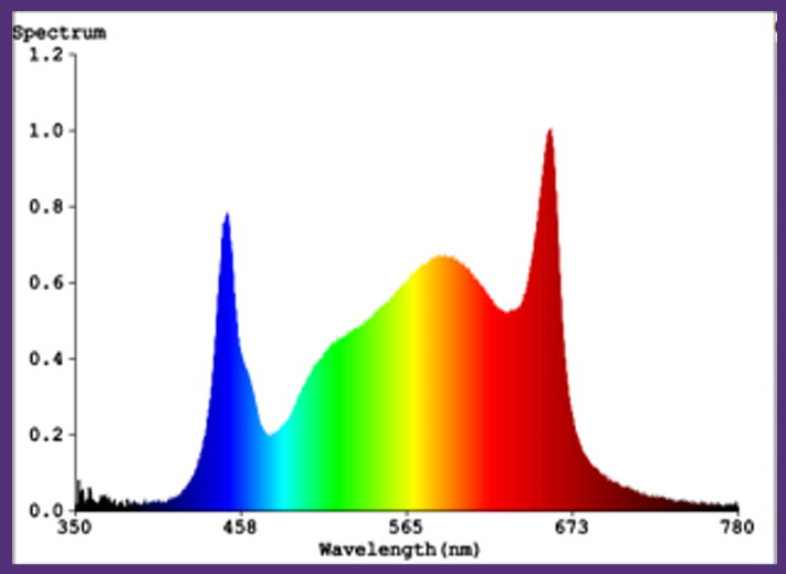LED grow light spectrum showing peaks in blue, green, and red wavelengths, indicating a full-spectrum light.