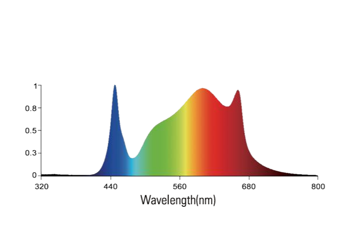 Spectrum graph of a grow light, showing high peaks in blue and red light wavelengths.
