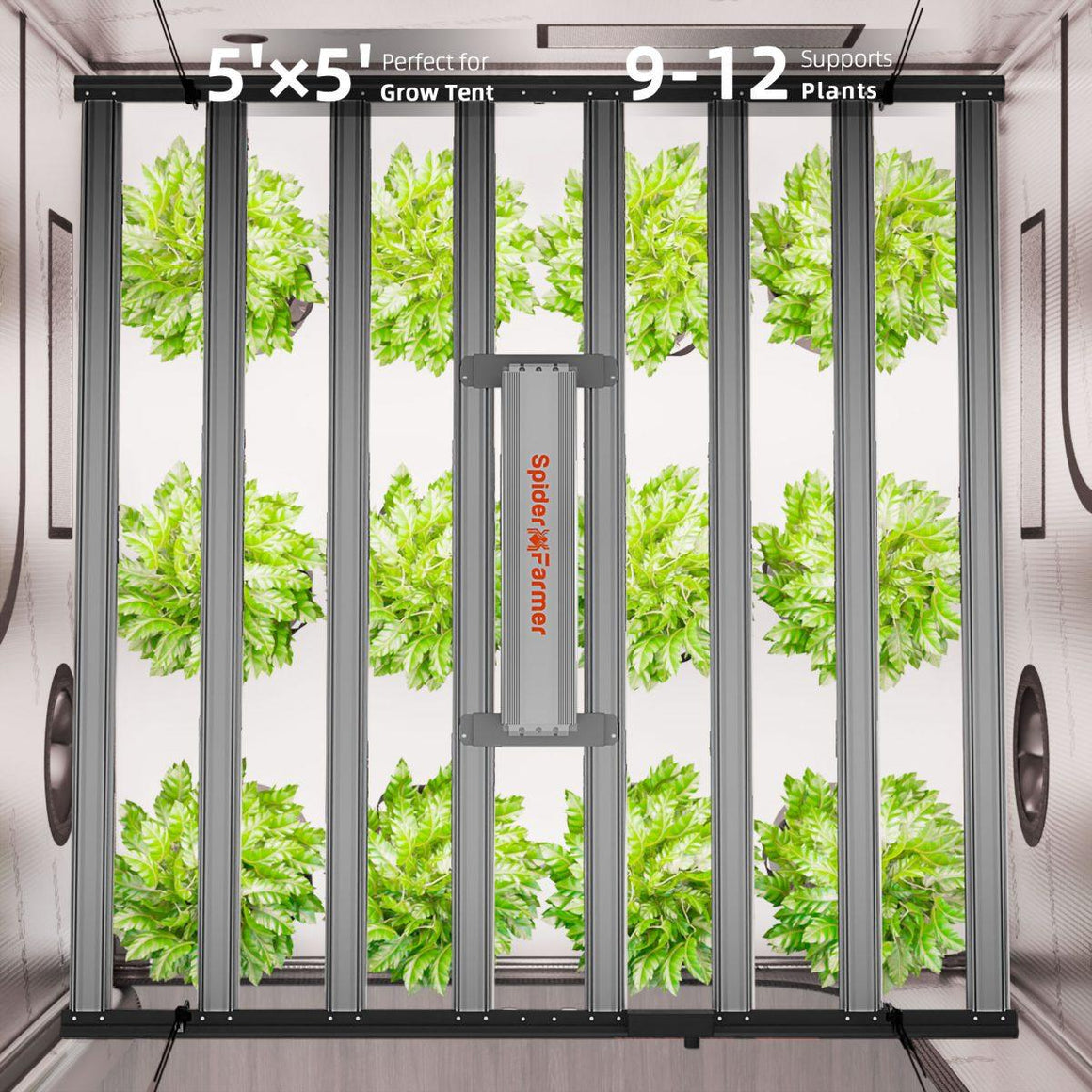 Spider_Farmer_G1000W Grow tent size