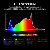 Spider_Farmer_G1000W Grow tent size Spectrum
