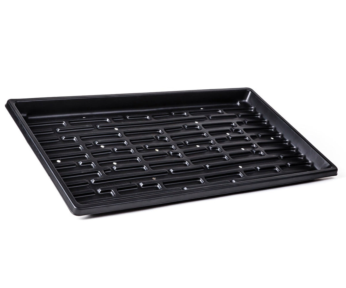 Black microgreen tray with drainage holes, ideal for starting seeds and growing greens.