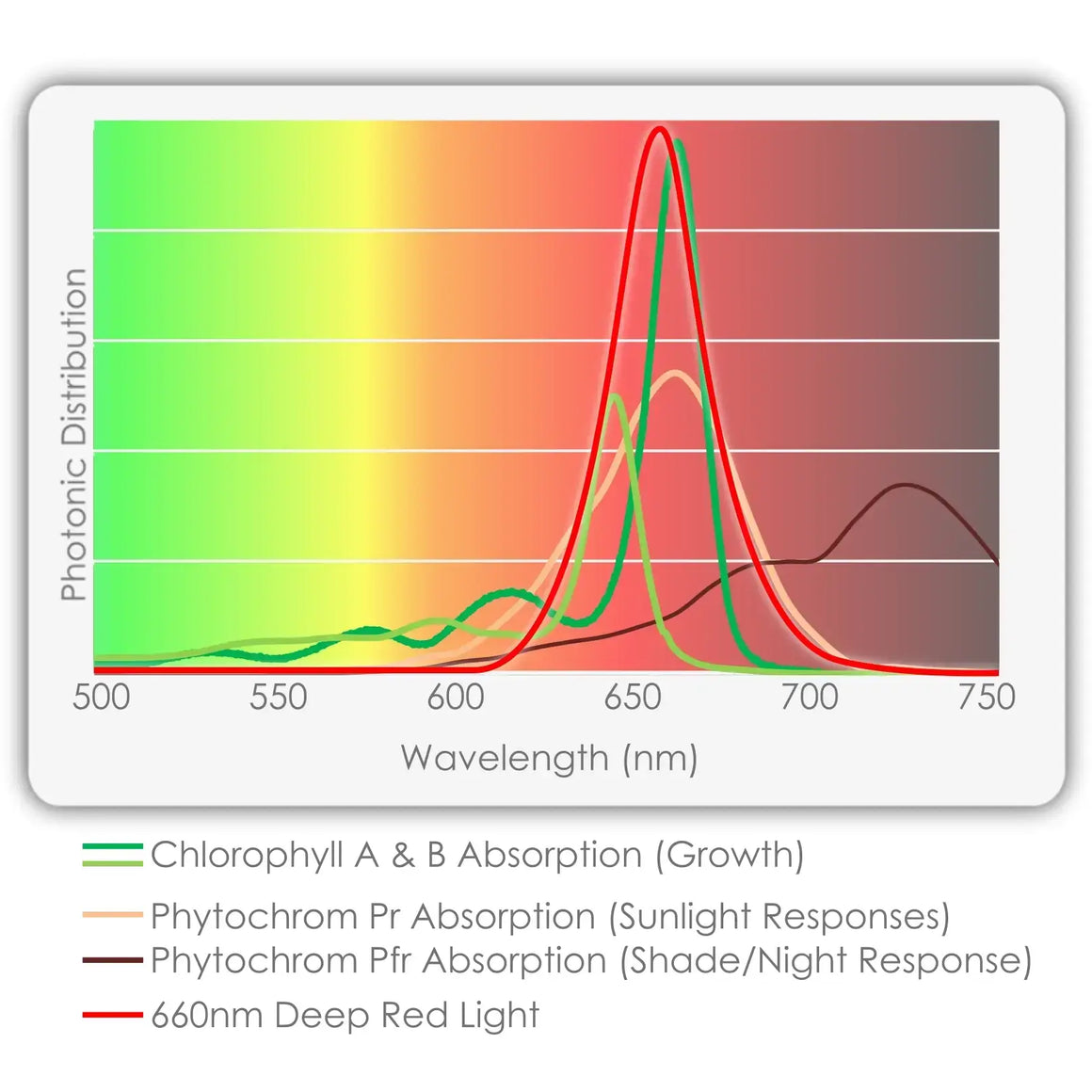 TotalGrow Deep Red Grow-Booster 25W, 24" LED Light Bar