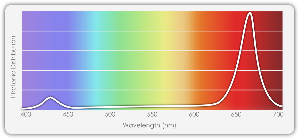 Photonic distribution graph showing peaks at blue and red wavelengths, spanning 400-700 nm.