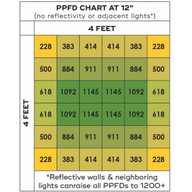 PPFD chart showing light intensity (µmol/m²/s) at 12