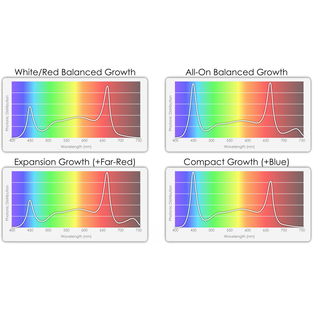 Four graphs showing light spectrum distribution for plant growth, with peaks in blue and red wavelengths.