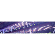 Indoor vertical farm with rows of leafy greens under LED grow lights.
