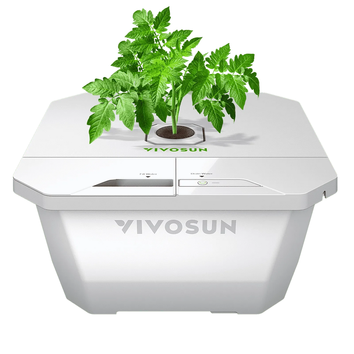 VIVOSUN DWC hydroponics grow kit with a healthy tomato plant in a white bucket.