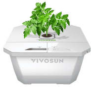 VIVOSUN DWC hydroponics grow kit with a healthy tomato plant in a white bucket.