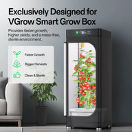 VGrow smart grow box with hydroponic tomatoes, featuring faster growth, bigger harvests, and a clean, sterile environment.