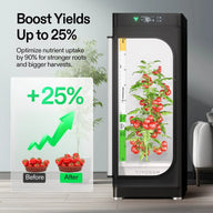 VIVOSUN hydroponics kit with tomatoes showing 25% yield increase.