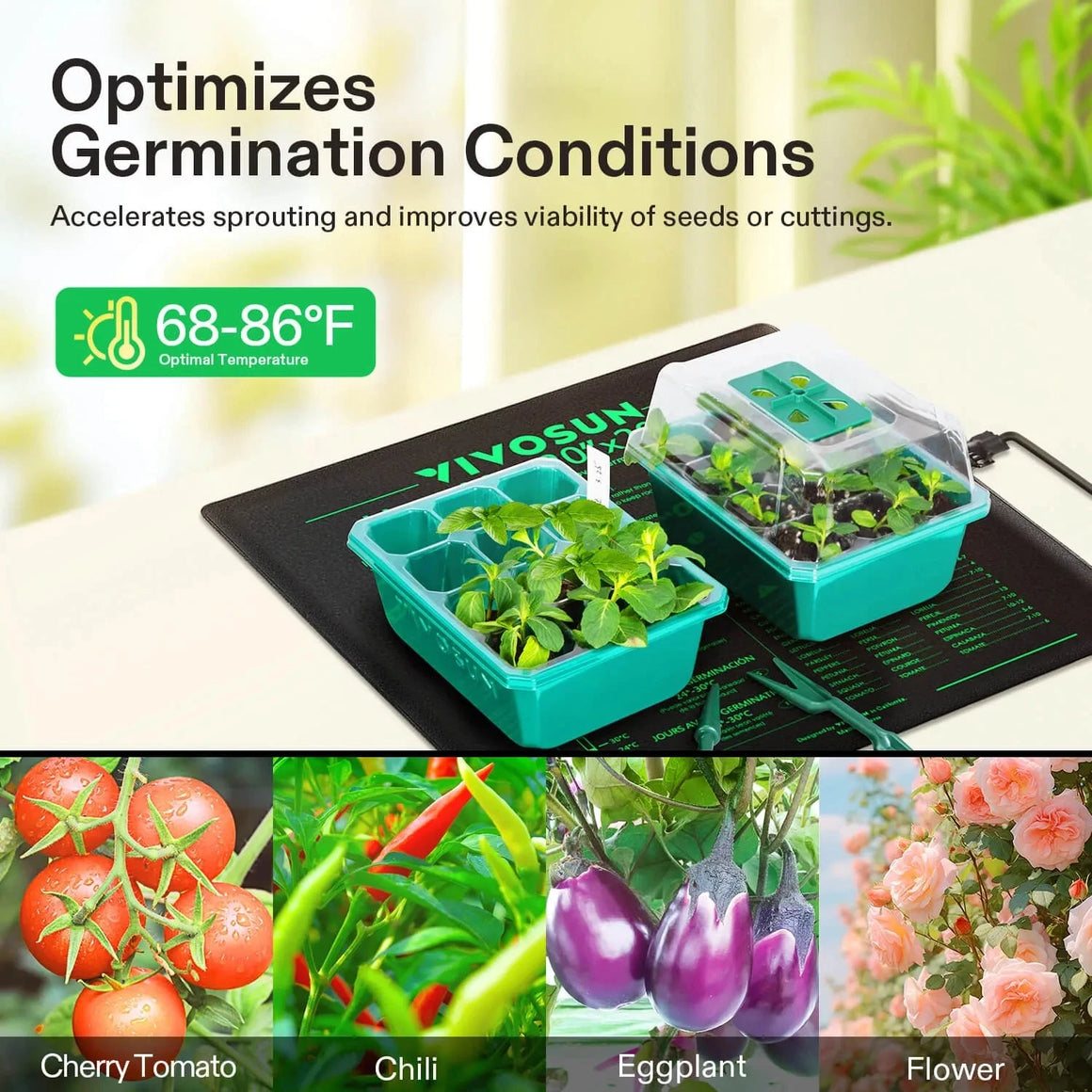 VIVOSUN seedling heat mat with starter trays, 68-86°F optimal germination. Shows tomatoes, chili, eggplant, roses.