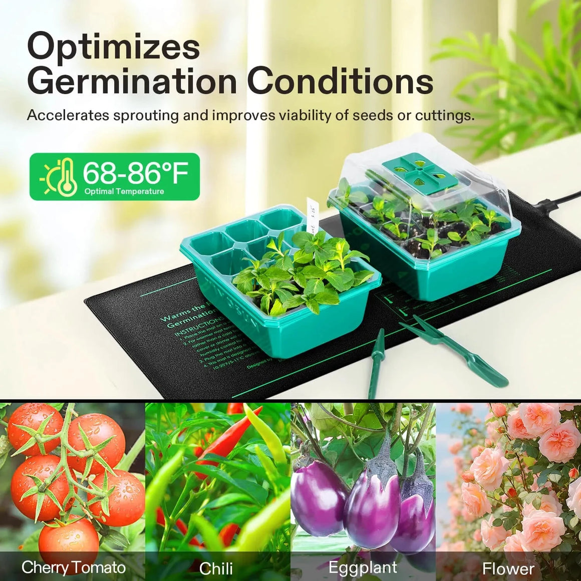 Seedling heat mat with trays for germination, optimal 68-86°F. Grow cherry tomatoes, chili, eggplant, and flowers.