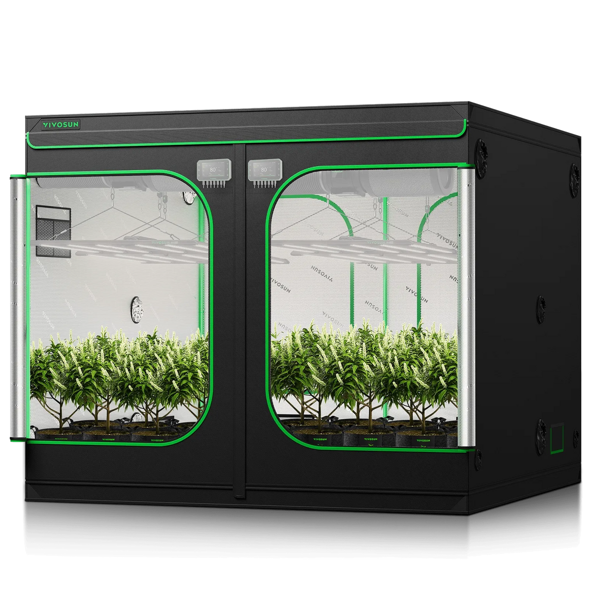 A black grow tent with green trim and dual openings, housing rows of healthy green plants under grow lights.