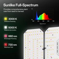 VIVOSUN Smart 2-in-1 GIY-SGS-54 Grow Tent Kit Sunlike Spectrum