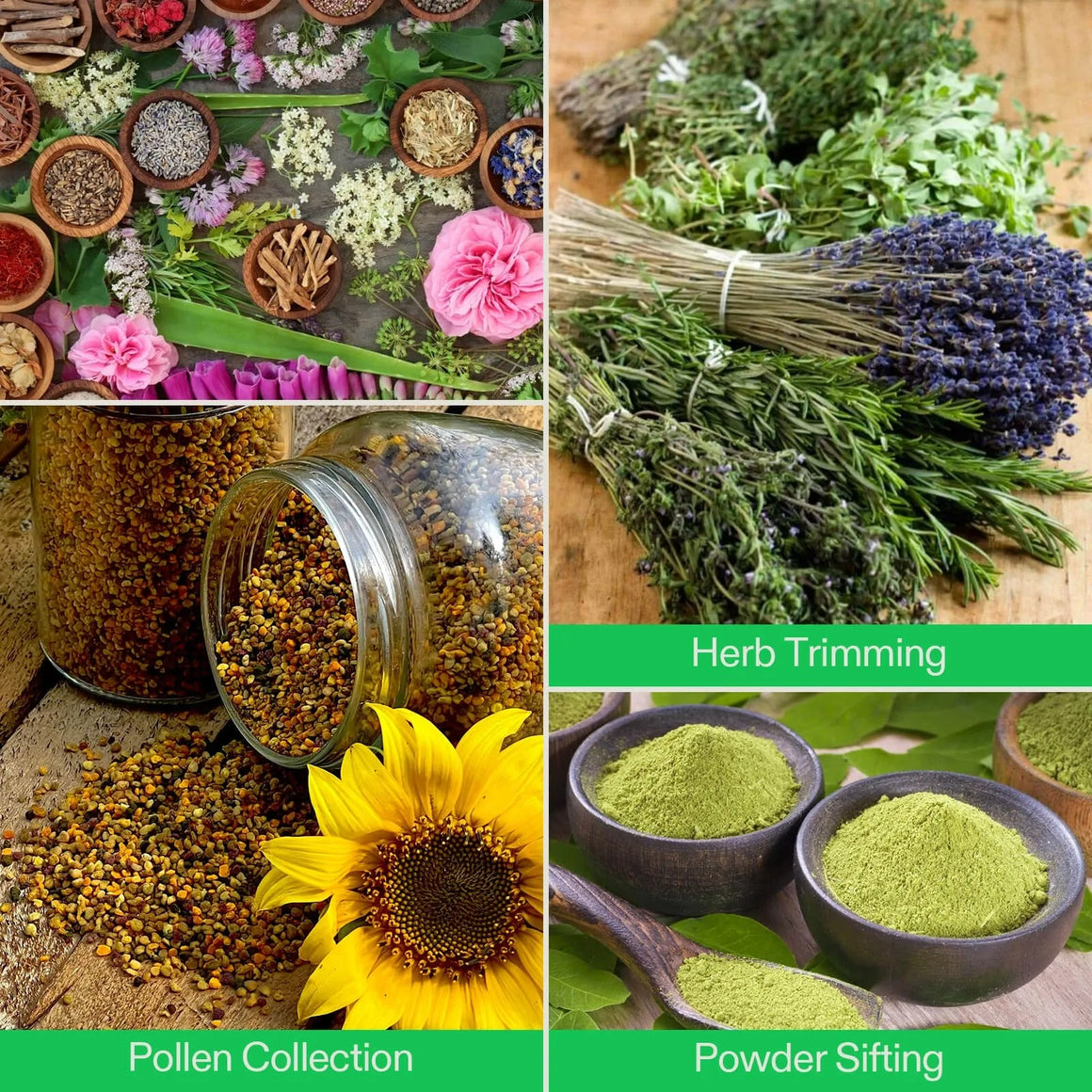 Herbs and pollen: Vivosun trimming tray green kit shows fresh herbs, bee pollen in jars, and green powder in bowls.