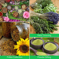 Herbs and pollen: Vivosun trimming tray green kit shows fresh herbs, bee pollen in jars, and green powder in bowls.
