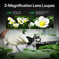 Vivosun 30X-60X jeweler's loupe with LED light, examining strawberry plants.