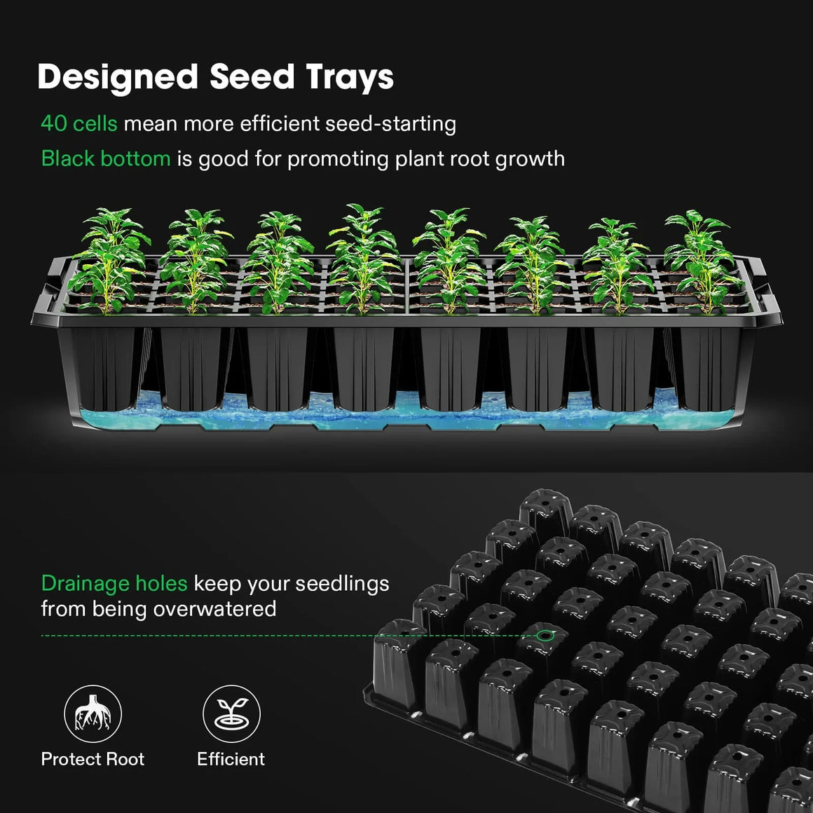 Vivosun 40-cell black seedling tray kit with drainage holes and healthy young plants.