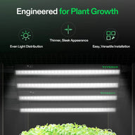 VIVOSUN LED grow lights illuminate seedlings in a tent for plant growth.