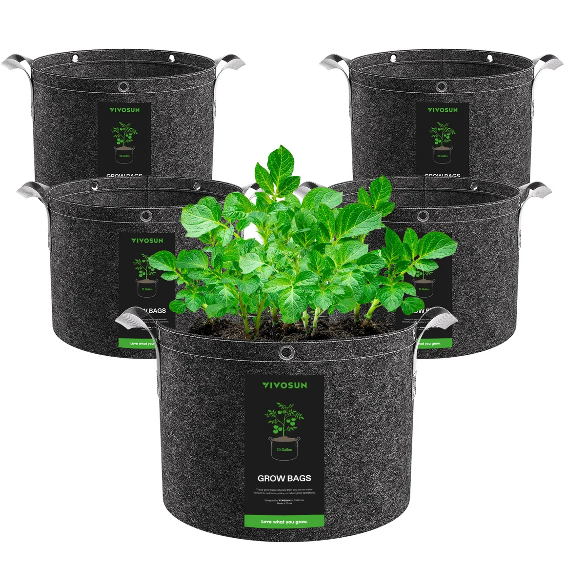 Black felt VIVOSUN grow bags with silver handles, some with green plants.