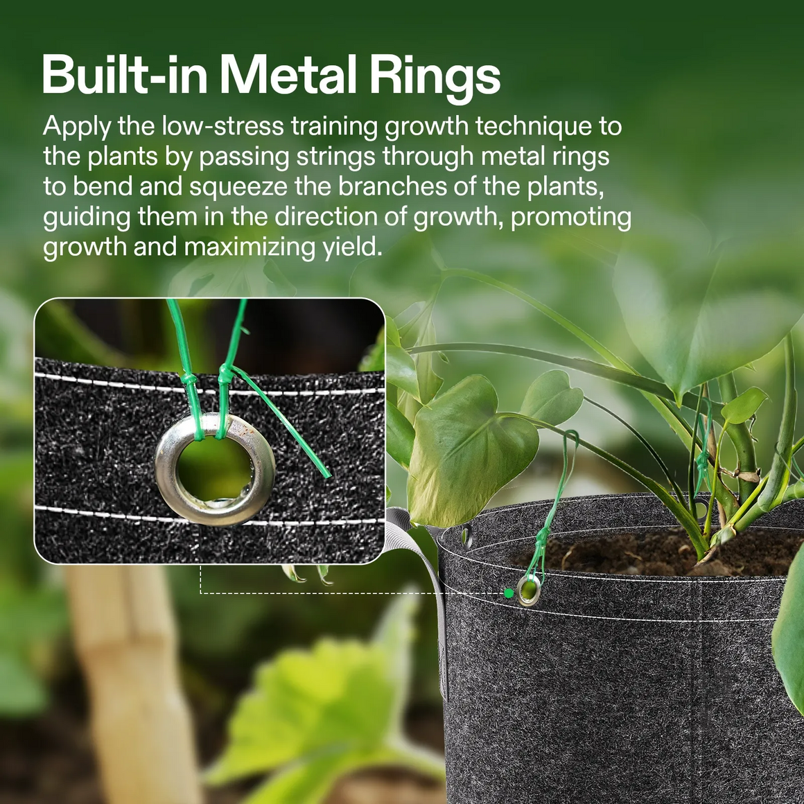 Vivosun black fabric grow bags with built-in metal rings for plant training and yield maximization.