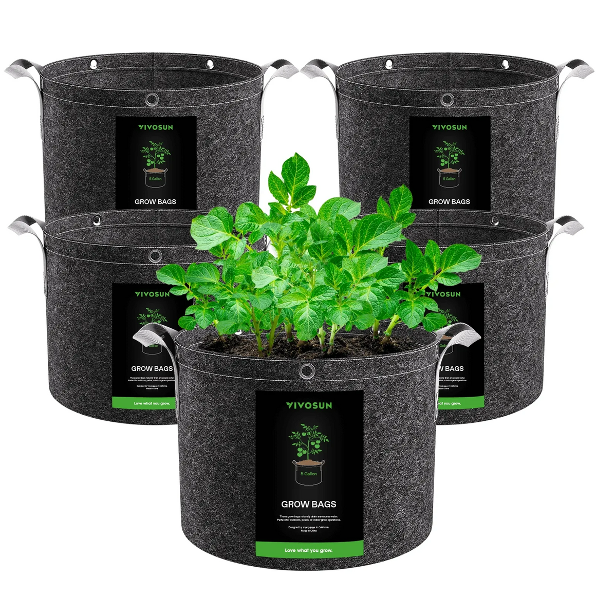 Vivosun 5-pack black fabric grow bags with handles and planted potato sprouts.