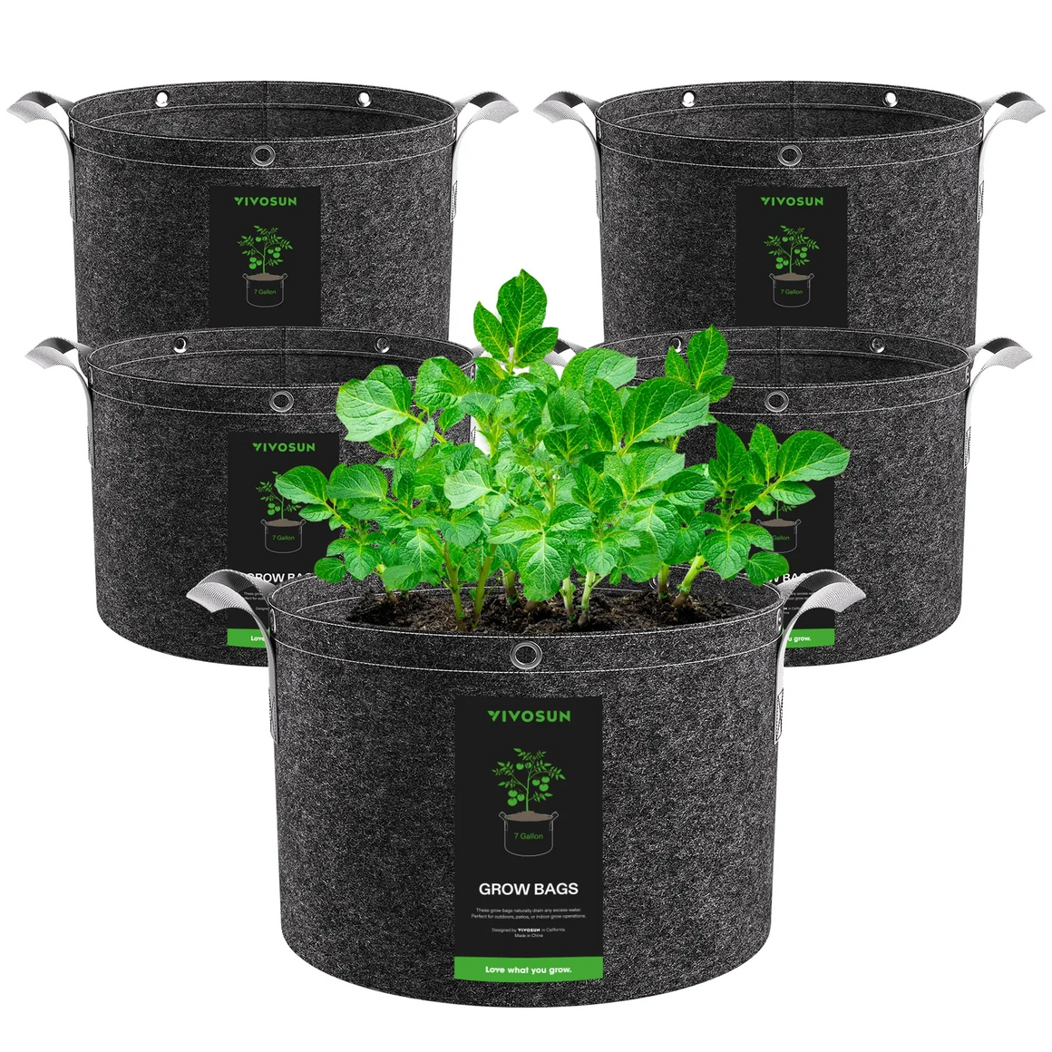 5-pack Vivosun black fabric grow bags with metal handles, one filled with green plants and soil.