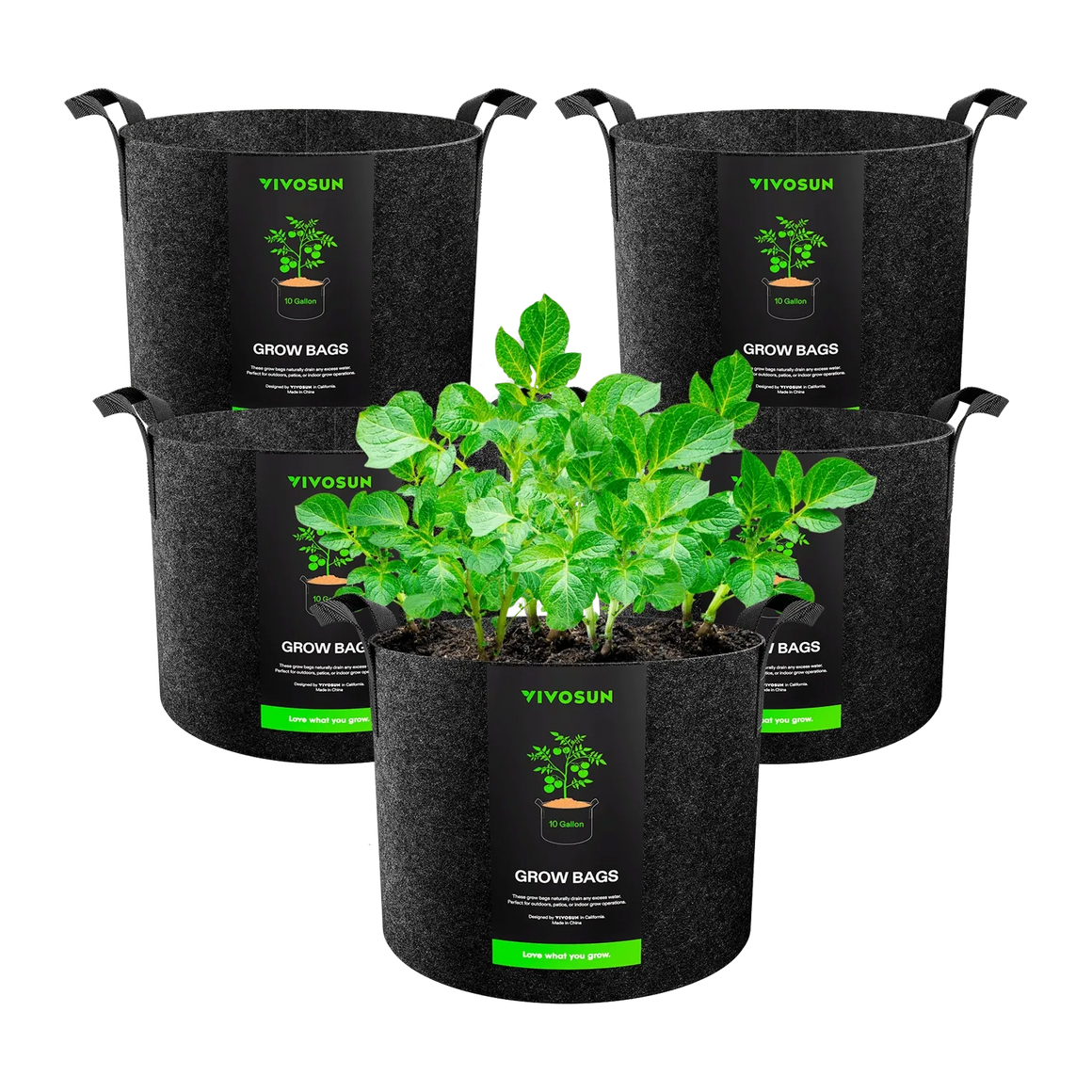 VIVOSUN 5-pack 10-gallon grow bags, one filled with thriving green plants, on a black background.