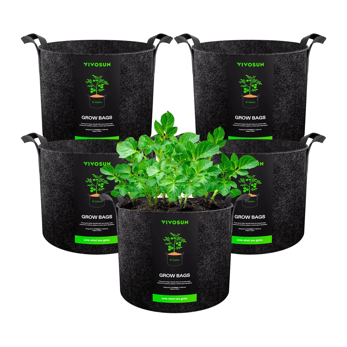 Vivosun 5-pack 15-gallon fabric grow bags with potato plants.